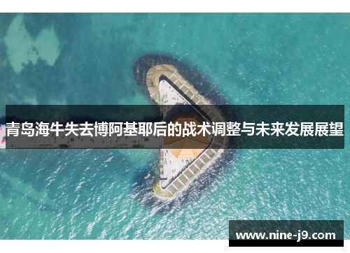 青岛海牛失去博阿基耶后的战术调整与未来发展展望