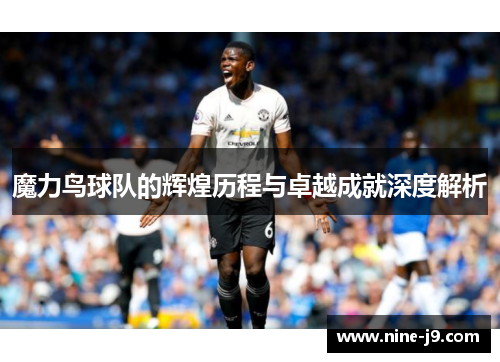 魔力鸟球队的辉煌历程与卓越成就深度解析